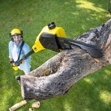 Best Seasonal Cleanup (Spring/Fall)  in Batesville, IN