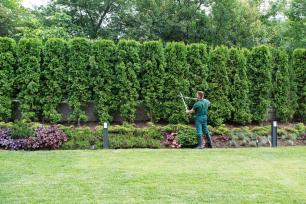 Best Lawn Maintenance Plans  in Batesville, IN